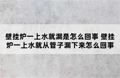 壁挂炉一上水就漏是怎么回事 壁挂炉一上水就从管子漏下来怎么回事